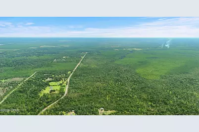 030 Blue Springs Road #Parcel 4, Youngstown, FL 32466 - Photo 10