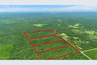 030 Blue Springs Road #Parcel 4, Youngstown, FL 32466 - Photo 6