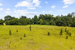 5953 Deerwood Dr, Malone, FL 32445 - Photo 38