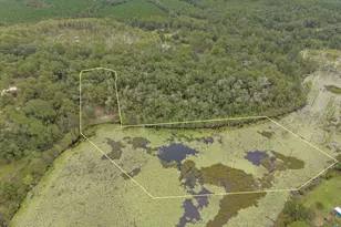 1576 Bass Rd, Caryville, FL 32427 - Photo 28