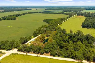 5714 Concord Rd, Bascom, FL 32423 - Photo 54