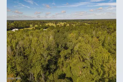 5274 Smokey Road, Graceville, FL 32440 - Photo 12