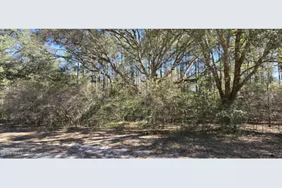 00 Canopy Oak Blvd, Bonifay, FL 32425 - Photo 4