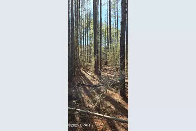 00 Canopy Oak Blvd, Bonifay, FL 32425 - Photo 10