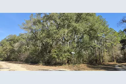 00 Canopy Oak Blvd, Bonifay, FL 32425 - Photo 12