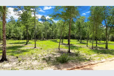 0 N Silver Lake Lane, Marianna, FL 32448 - Photo 2