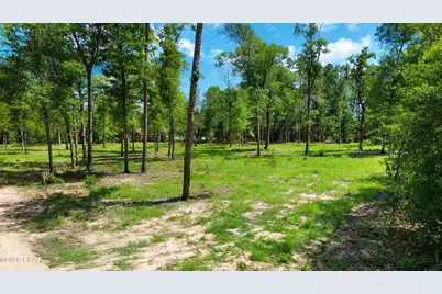 0 N Silver Lake Lane, Marianna, FL 32448 - Photo 1