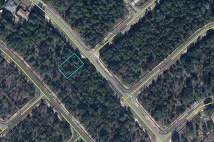 Lot 61 Shenandoah Blvd, Chipley, FL 32428 - Photo 1