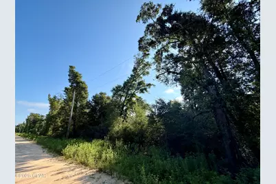 Lot 20 Sorrento Avenue, Alford, FL 32420 - Photo 2