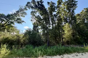 Lot 20 Sorrento Ave, Alford, FL 32420 - Photo 1