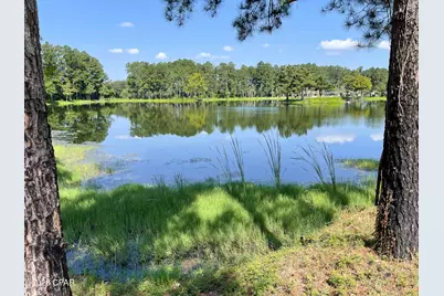 4630 Canary Road, Graceville, FL 32440 - Photo 22