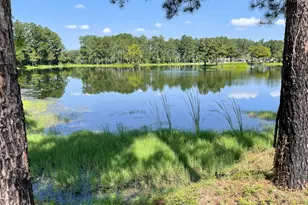 4630 Canary Rd, Graceville, FL 32440 - Photo 22