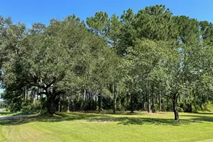 4630 Canary Rd, Graceville, FL 32440 - Photo 12