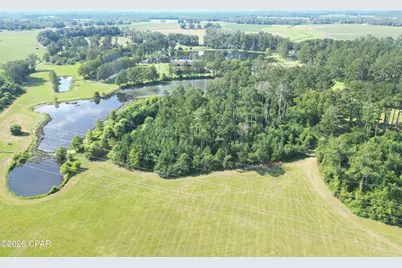 4630 Canary Road, Graceville, FL 32440 - Photo 6