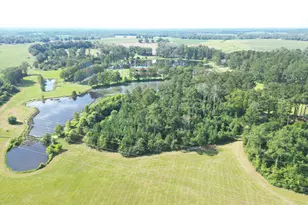 4630 Canary Rd, Graceville, FL 32440 - Photo 6