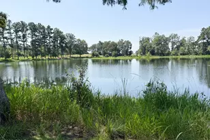 4630 Canary Rd, Graceville, FL 32440 - Photo 20