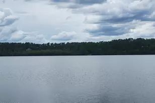 0 View Dr, Alford, FL 32420 - Photo 1