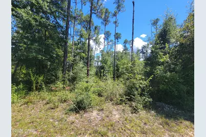 0 View Drive, Alford, FL 32420 - Photo 6