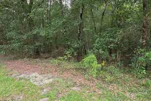 0000 Quail Ridge Dr, Chipley, FL 32428 - Photo 1