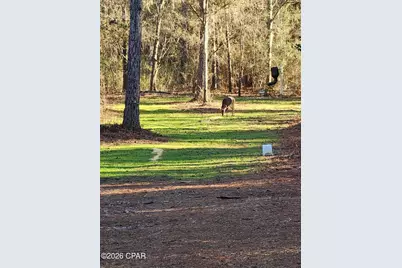 1745 Turkey Oak Trail, Bonifay, FL 32425 - Photo 10