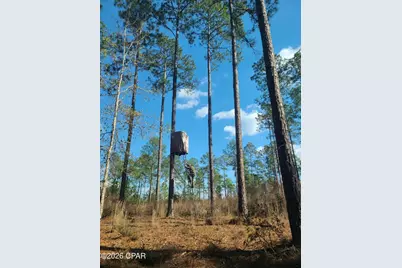 1745 Turkey Oak Trail, Bonifay, FL 32425 - Photo 6