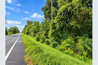 0 Hwy 162 Road, Marianna, FL 32446 - Photo 1