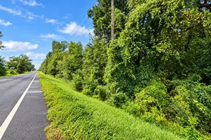 0 Hwy 162 Rd, Marianna, FL 32446 - Photo 1