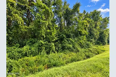 0 Hwy 162 Road, Marianna, FL 32446 - Photo 2