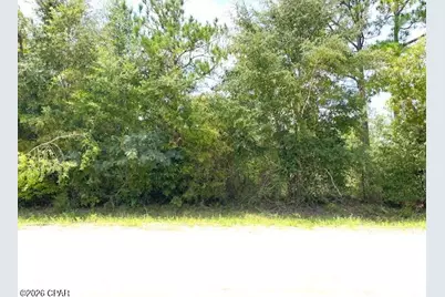 0 Edison Avenue, Alford, FL 32420 - Photo 2