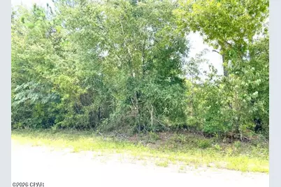 0 Edison Avenue, Alford, FL 32420 - Photo 1