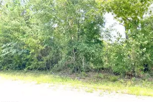 0 Edison Ave, Alford, FL 32420 - Photo 1