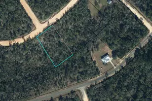 Lot 17 Southern Blvd, Alford, FL 32420 - Photo 1
