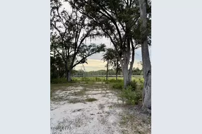 3036 Everest Drive, Sunny Hills, FL 32428 - Photo 16