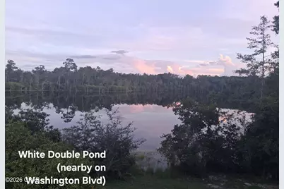 Lot 11 Washington Boulevard, Chipley, FL 32428 - Photo 4