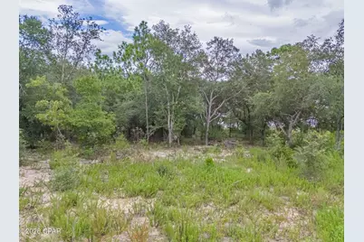 000 Quail Ridge Drive #lot B-251, Chipley, FL 32428 - Photo 4
