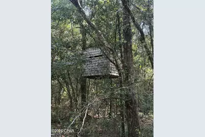 0 Jacob Road, Cottondale, FL 32431 - Photo 16