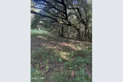 0 Jacob Road, Cottondale, FL 32431 - Photo 1