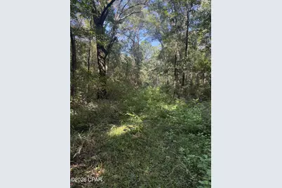 0 Jacob Road, Cottondale, FL 32431 - Photo 10
