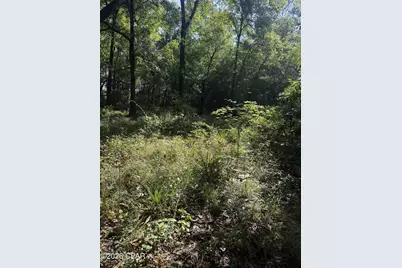 0 Jacob Road, Cottondale, FL 32431 - Photo 14