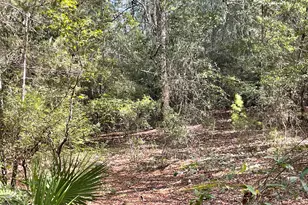 3902 Union Hill Rd, Caryville, FL 32427 - Photo 8