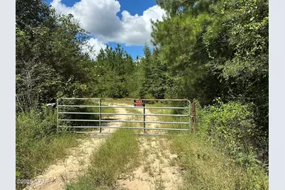 Tract#6418 N Mattox Springs Road, Caryville, FL 32427 - Photo 2