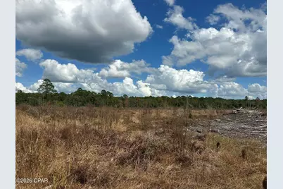 Tract#6418 N Mattox Springs Road, Caryville, FL 32427 - Photo 46
