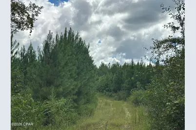 Tract#6418 N Mattox Springs Road, Caryville, FL 32427 - Photo 26