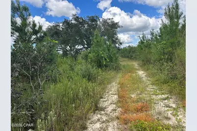 Tract#6418 N Mattox Springs Road, Caryville, FL 32427 - Photo 28