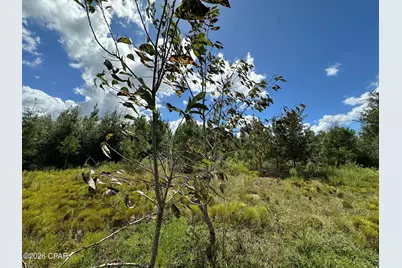 Tract#6418 N Mattox Springs Road, Caryville, FL 32427 - Photo 12