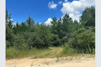 Tract#6418 N Mattox Springs Road, Caryville, FL 32427 - Photo 4
