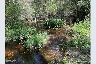 Tract#6418 N Mattox Springs Road, Caryville, FL 32427 - Photo 16