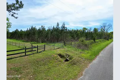 409 Thigpen Road, Quincy, FL 32351 - Photo 4