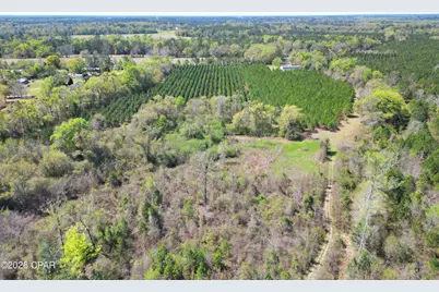 409 Thigpen Road, Quincy, FL 32351 - Photo 6