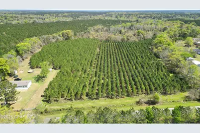 409 Thigpen Road, Quincy, FL 32351 - Photo 8